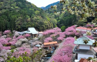 温泉と美しい景観が心を満たし、訪れる人々に安らぎを届けます