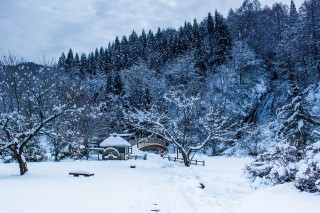 豊かな自然と伝統文化が織りなす癒しの秋田県